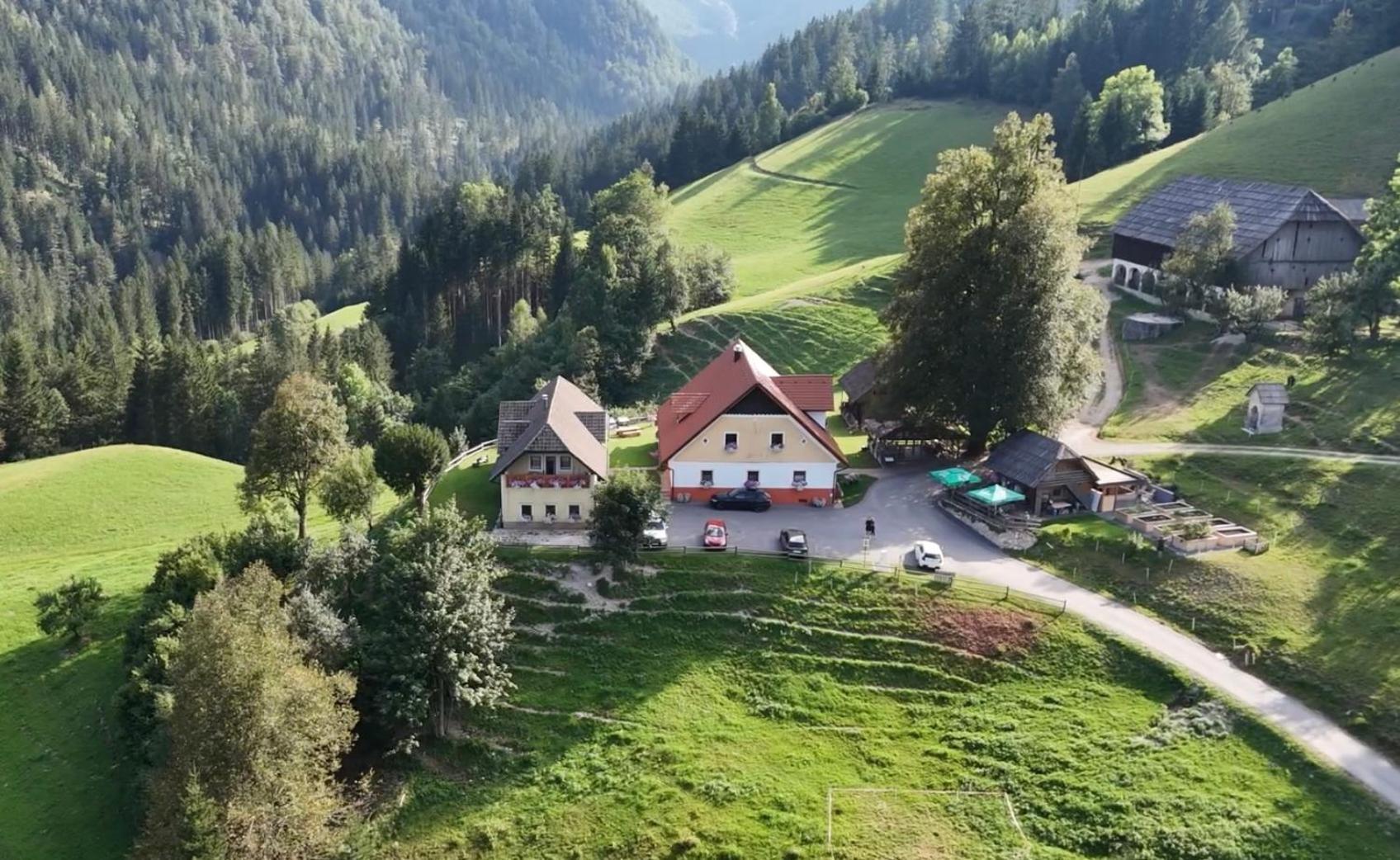 شقة Tourist Farm Gradisnik Solčava المظهر الخارجي الصورة
