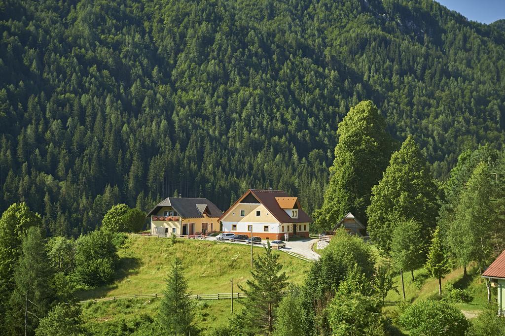 شقة Tourist Farm Gradisnik Solčava المظهر الخارجي الصورة