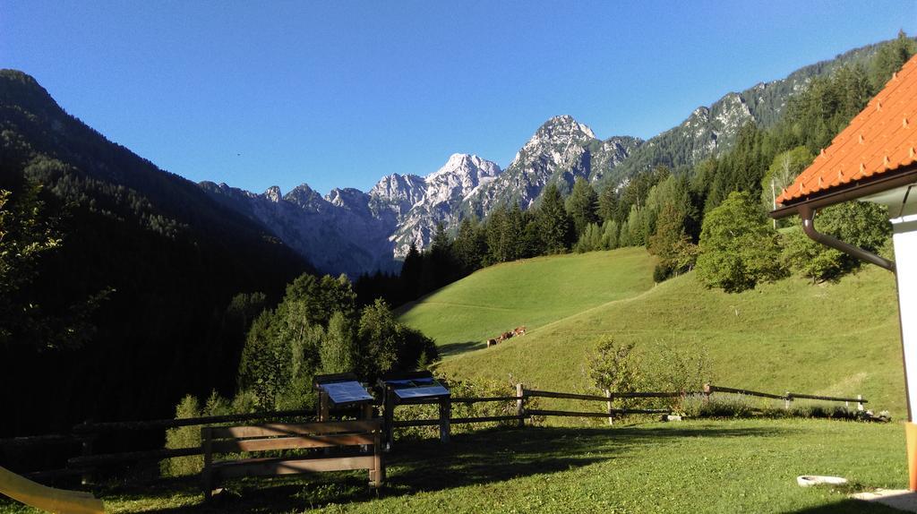 شقة Tourist Farm Gradisnik Solčava المظهر الخارجي الصورة